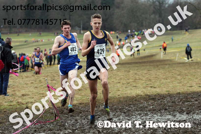 Senior men, 2018 Northern Cross Country Champs., Harewood House, Leeds. Photo: David T. Hewitson/Sports for All Pics